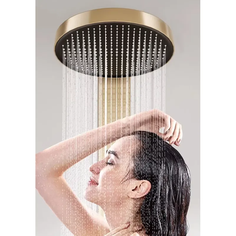 Brass Rainfall Shower Panel Se - Spa & Wellness Paradies Braunschweig review and price